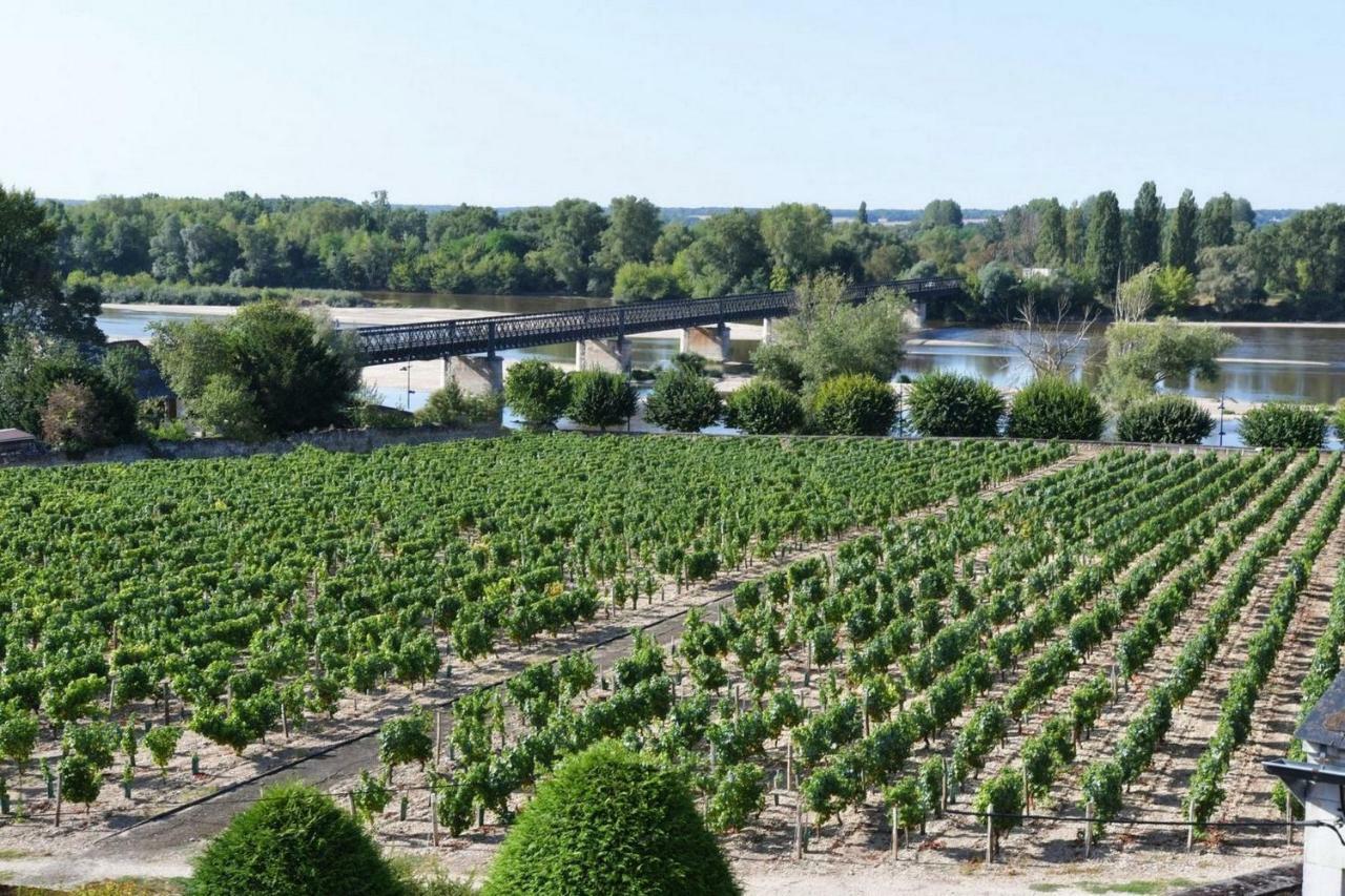 Gite Des Chaumiennes Pouilly-sur-Loire Ngoại thất bức ảnh